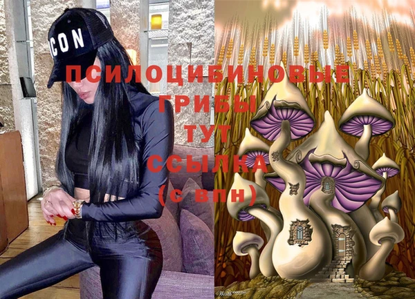 шишки Бугульма