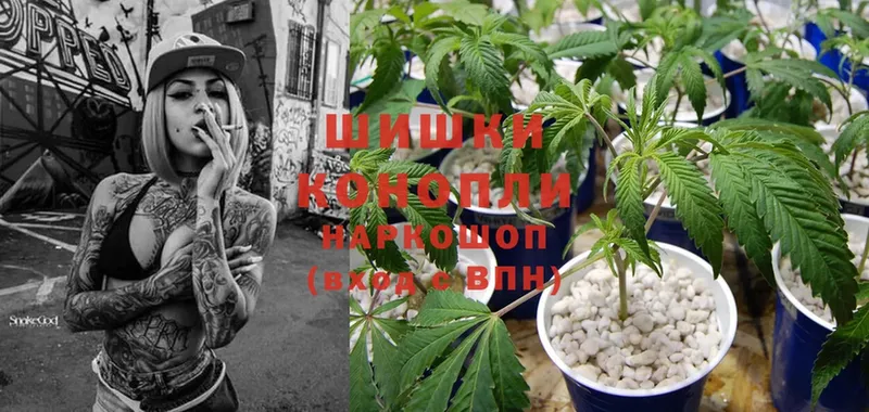 наркошоп  Межгорье  Каннабис SATIVA & INDICA 